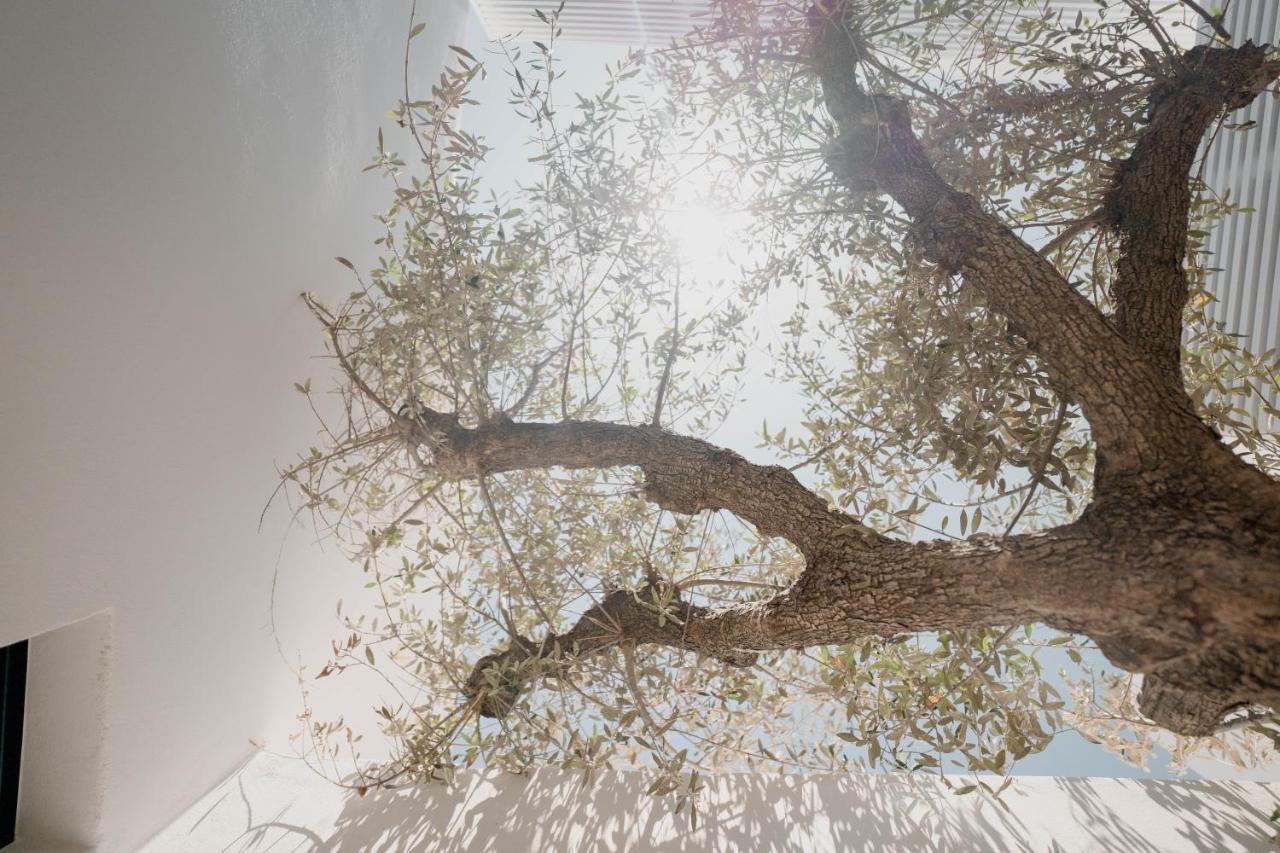 Cubic Mykonos Seafront Design Suites Ornos  Zewnętrze zdjęcie